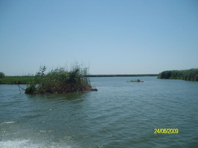 delta rosu 2009 - sany6802.JPG